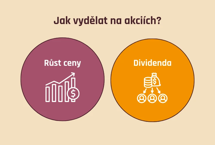 Jak vydělat na akciích - růst ceny / dividendy