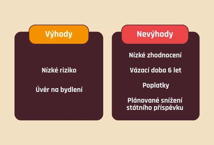 Výhody a nevýhody stavebka